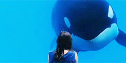 138814843323422_jpg.gif